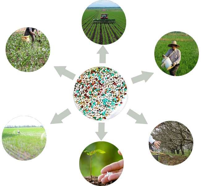 衡水鑫洋生物肥料有限公司 衡水鑫洋生物肥料有限公司